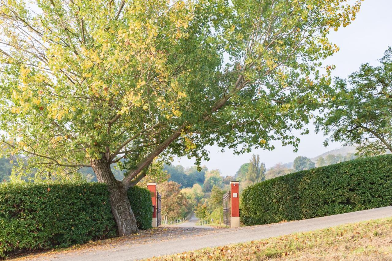 Ca Palazzo Malvasia - Bolognarooms Сассо-Марконі Екстер'єр фото